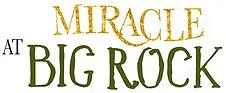 text miracle in gold sparkle text at big rock in dark green