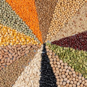 Big collection of different cereals and edible seeds. Grain angular pattern with top view