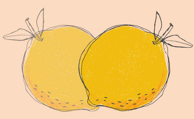 Two illustrated lemons with leaves on a pale peach background.